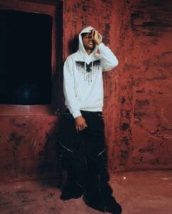 Eclipsed Wings Hoodie